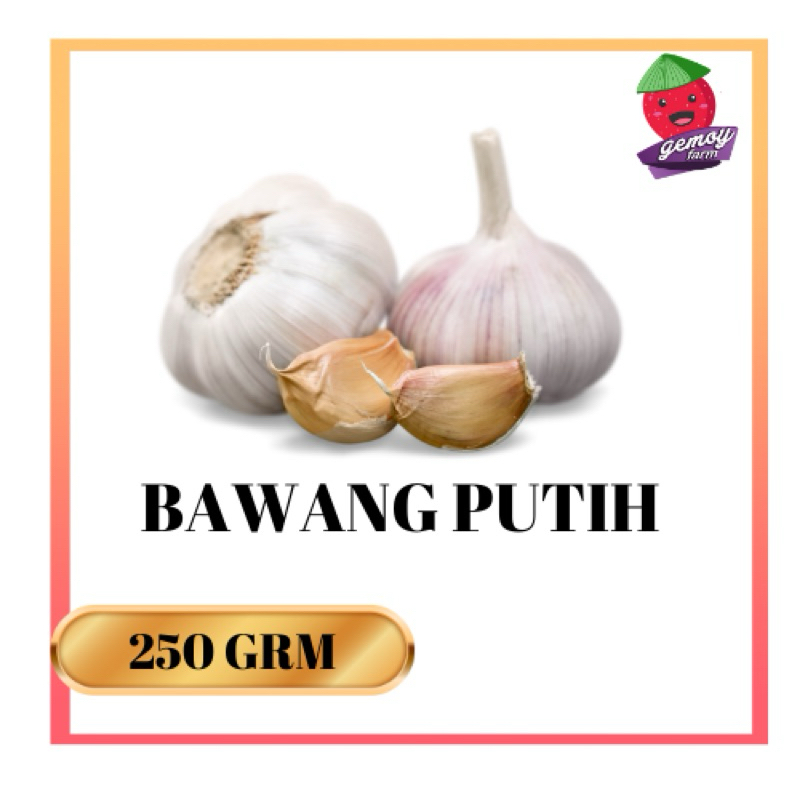 

Bawang Putih Kating