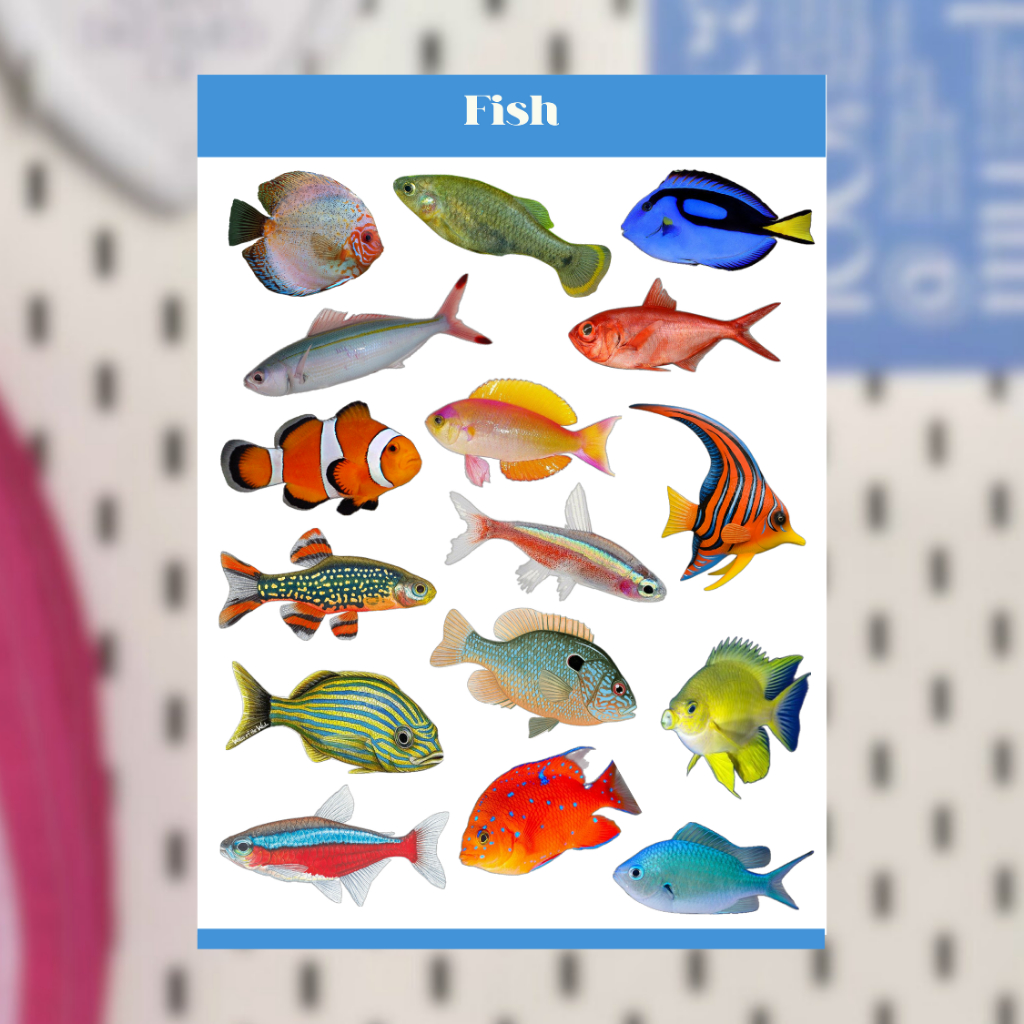 

FISH CUTE DECO STICKER SHEET / CUTE KAWAII DECO STICKER VINTAGE RETRO AESTHETIC FOR JOURNALING