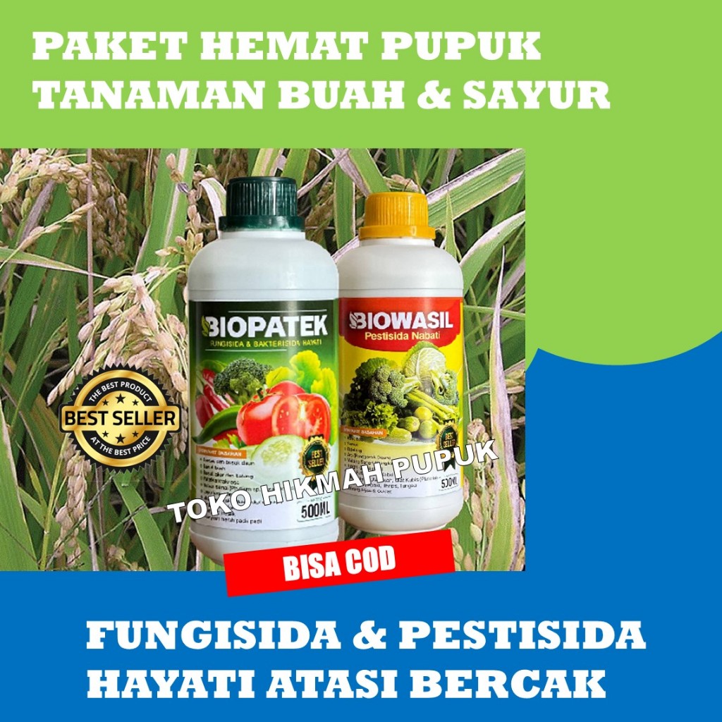 TERLARIS PESTISIDA BIOWASIL DAN FUNGISIDA BIOPATEK Obat Penyakit Kuning Padi Sawah Paling Bagus - Ob