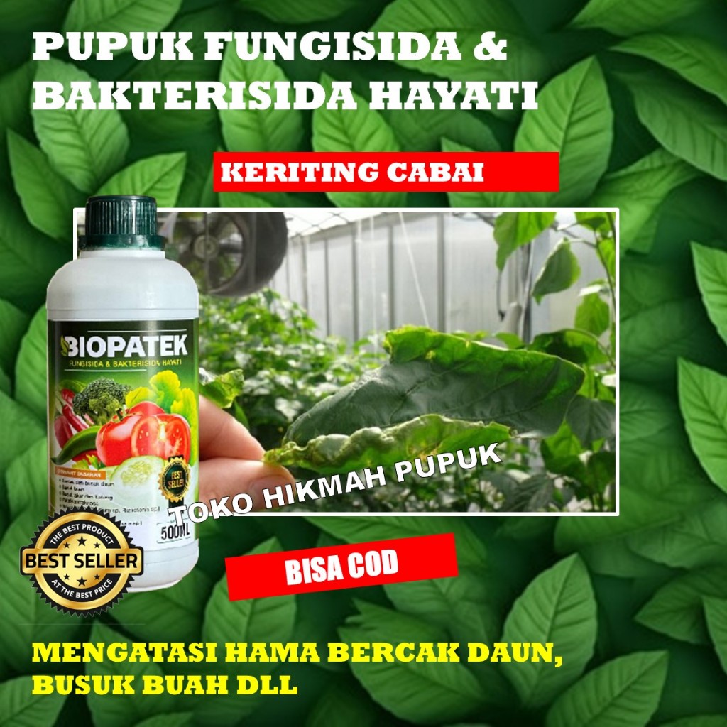 FUNGISIDA BIOPATEK Obat Alami Daun Cabe/Cabai Keriting Kuning Dan Rontok Timun, Tomat, Melon, Kacang