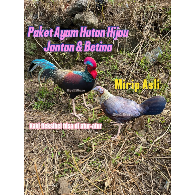 Paket Patung Ayam Hutan Hijau Jantan & Betina