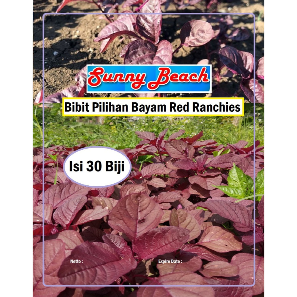 Bibit Pilihan Bayam Red Ranchies | Biji Bibit Bayam Merah
