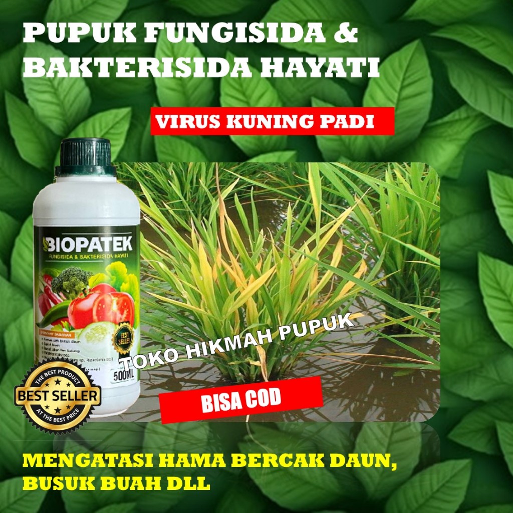 (Promo) BIOPATEK Fungisida Hayati Obat Penyakit Kresek Pada Tanaman Padi, Obat Hama Penyakit Kresek 