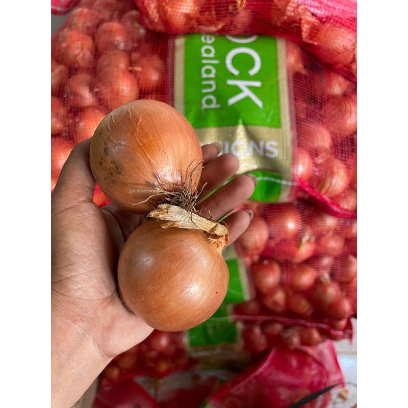 

bawang bombai