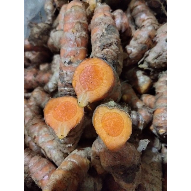 

KUNYIT/KUNIR LANGSUNG DARI KEBUN, KEMASAN 1KG