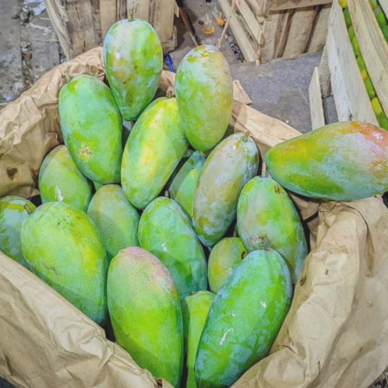 

Mangga Kiojay Thailand 2 Kilogram