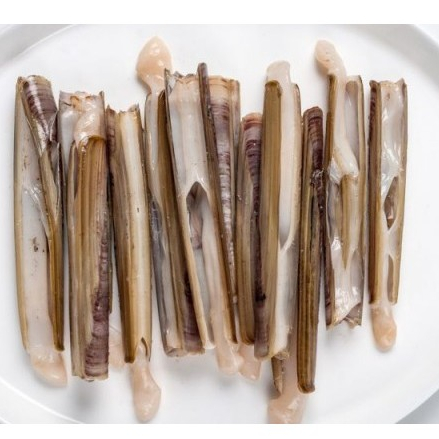 

Kerang MTF Kerang Bambu @250Gram,500Gram - 1 KG