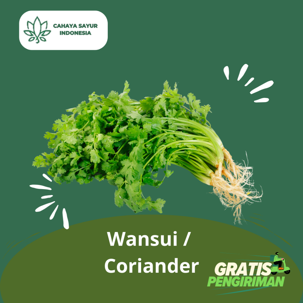 

Sayur Wansui / Daun Ketumbar / Cilantro / Coriander 1 KG + Gratis Ongkir