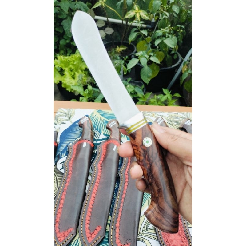 Pisau Bulnose dmo5 Julia