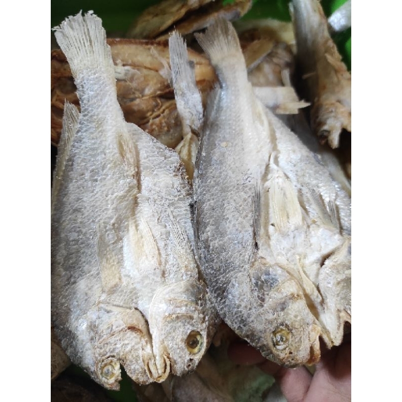 

IKAN ASIN SAMGE 1ONS