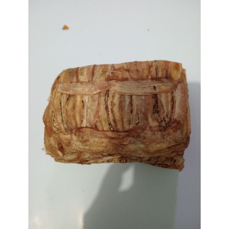

sale oval mentah besar