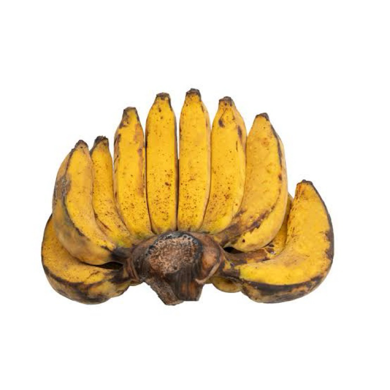 

Pisang Raja Berkualitas 1sisir