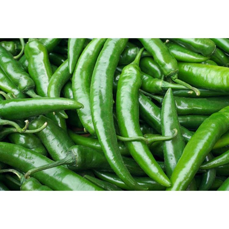 

Cabai Hijau Besar Segar Pilihan/Cabe Hijau Besar/Cabe Besar