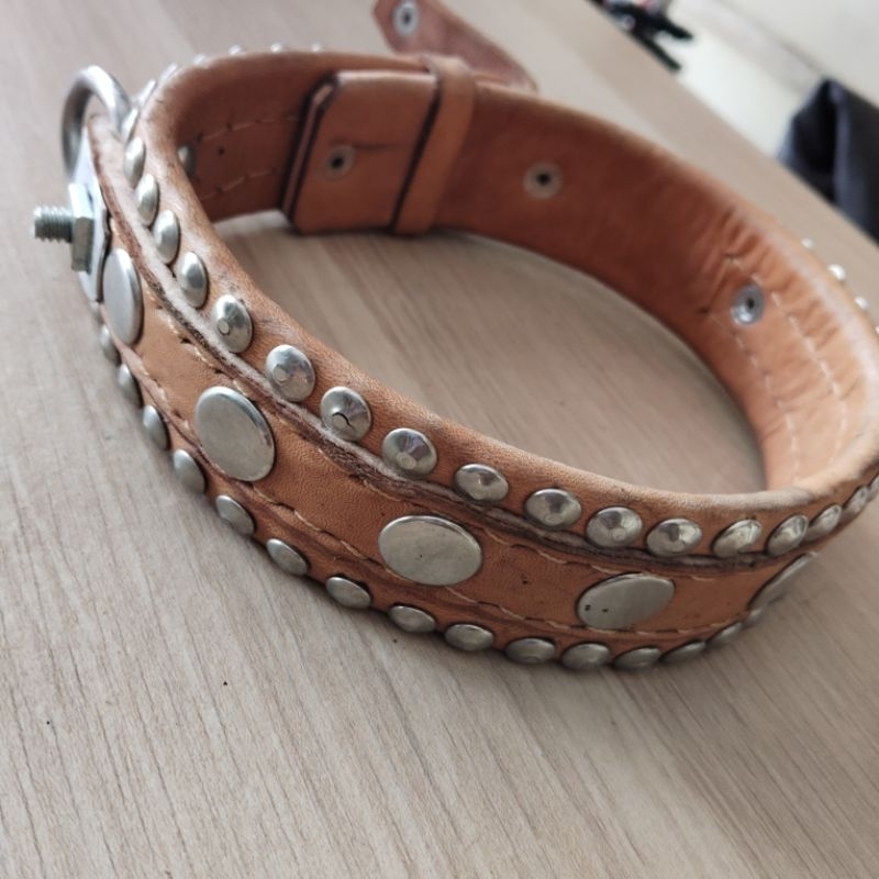 kalung fitbul kulit sapi asli