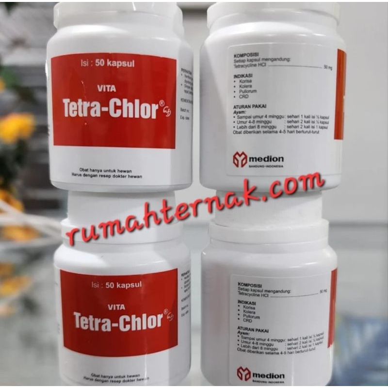 VITA TETRA CHLOR 50 kapsul
