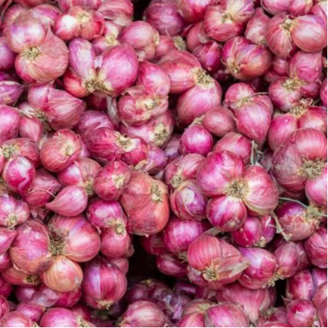 

BAWANG MERAH LOKAL 100% ASLI PROBOLINGGO BERSIH BERKUALITAS MURAH
