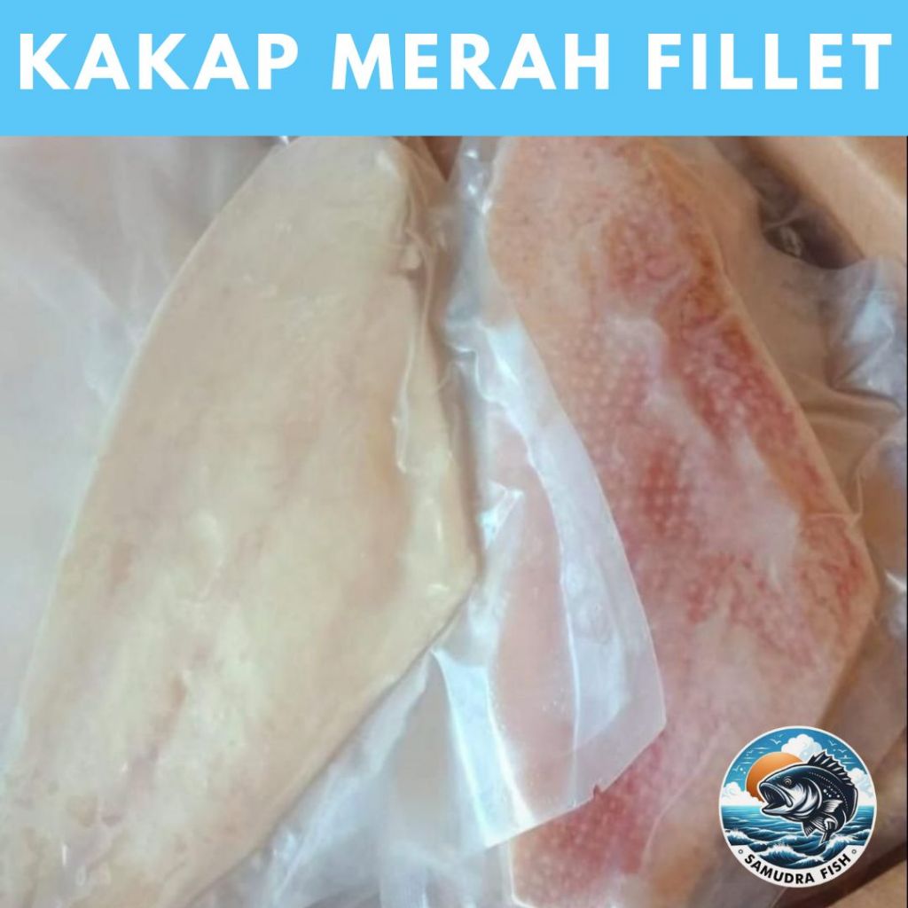 

Fillet Kakap Merah PREMIUM 1000gr | Ikan Semarang | Beli Ikan Segar Semarang | Belanja Ikan Semarang