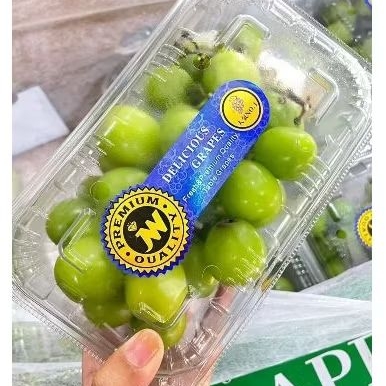 

anggur hijau Muscat kemasan mika