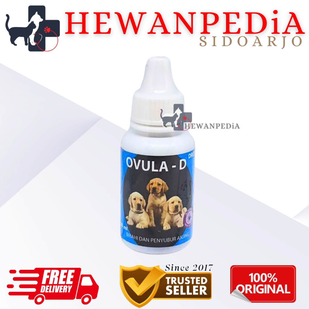 OVULA D Anjing - Obat Pemacu Birahi Anjing Betina Penyubur Reproduksi Hewanpedia Obat Anjing Kucing 