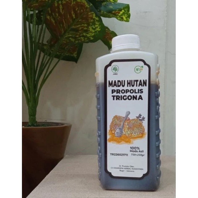 

MADU HUTAN PROPOLIS TRIGONA NR88 | 750 ML+250 ML | BPOM ASLI