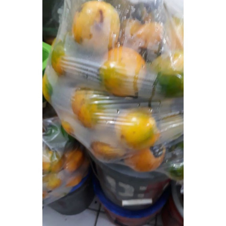 

KP8 TERONG ASAM KALIMANTAN TERONG DAYAK