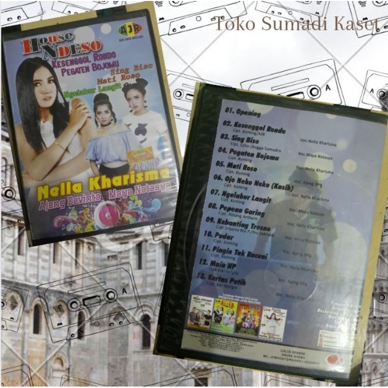 VCD house ndeso AJR record