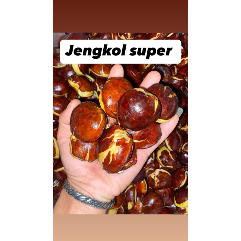 

Jengkol tua pulen 1 kg