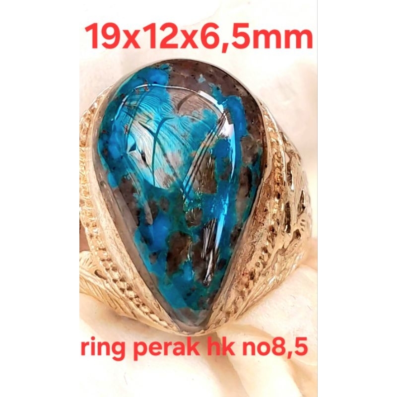 Pirus Persia lawasan royal blue
