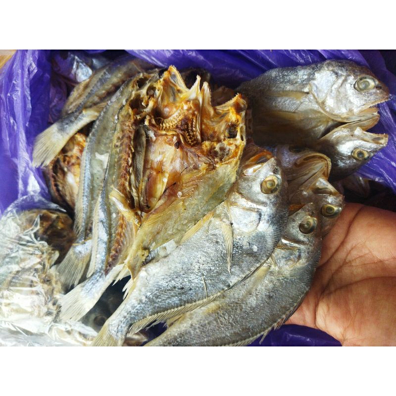 

gereh gesek 12000 (250 gram)