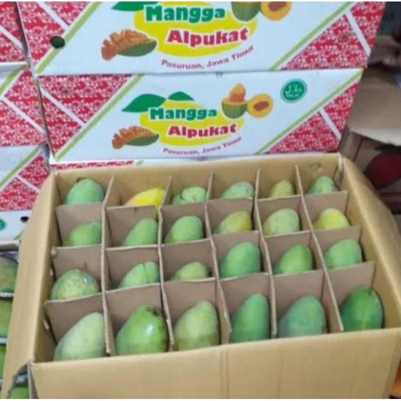 

Mangga Alpukat per 1 Dus / 10 kg