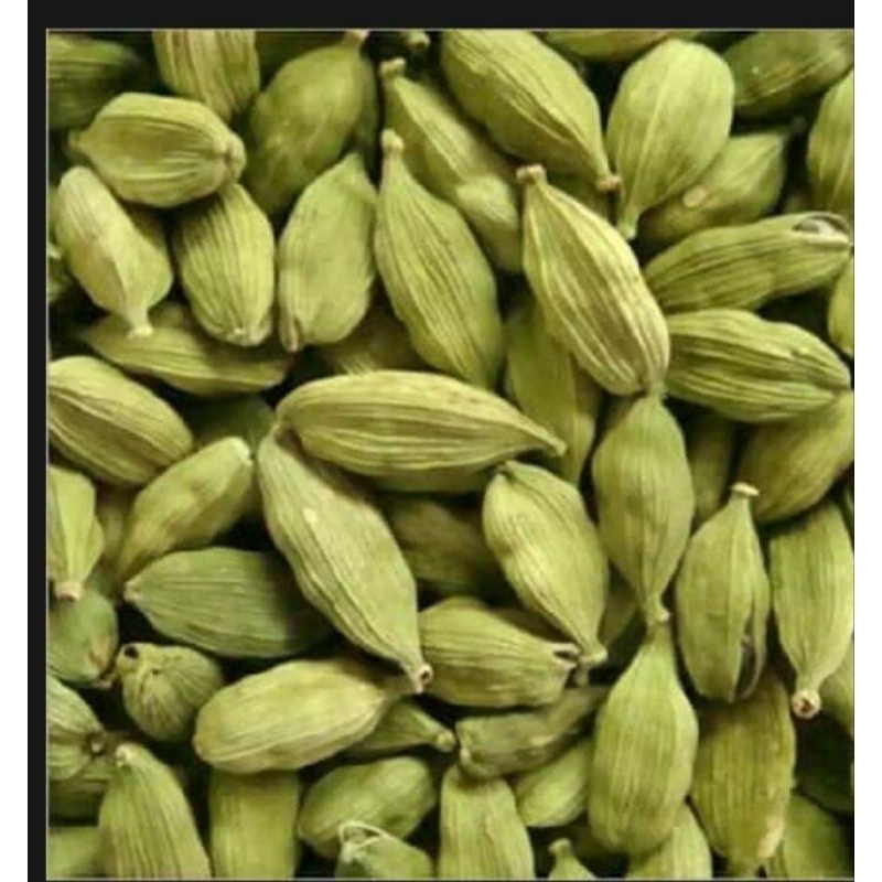 

Kapulaga India 5g / Promo Kapulaga Hijau / Kapulaga Hijau Import.