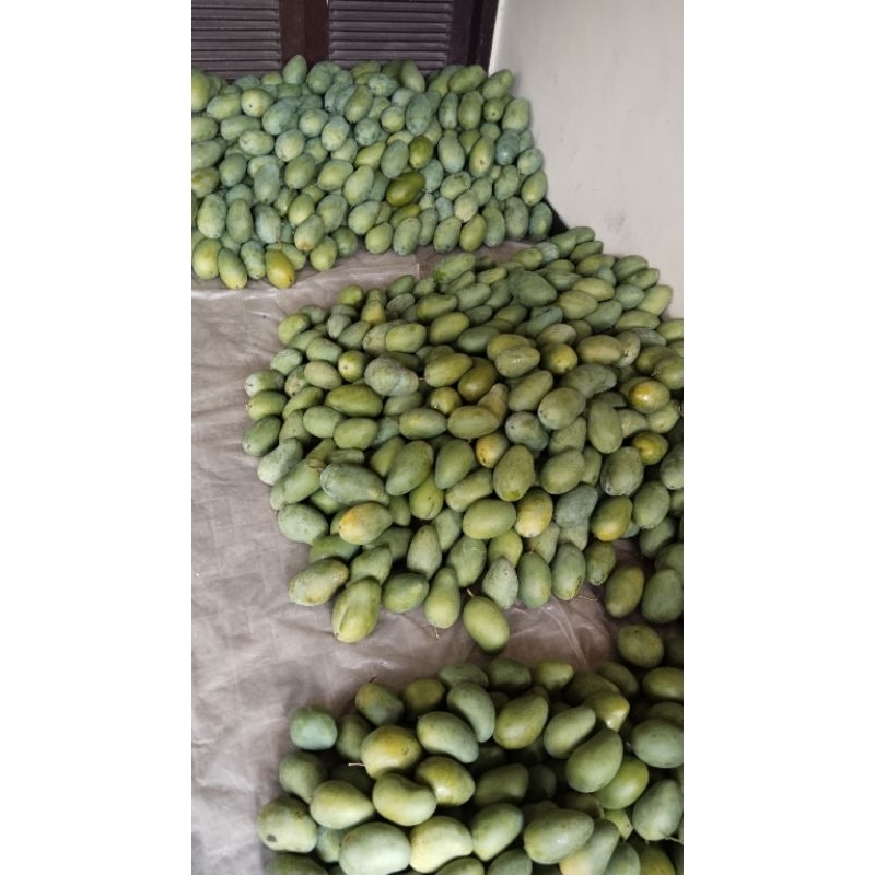 

MANGGA KLONAL MASAK MOHON (2KG)
