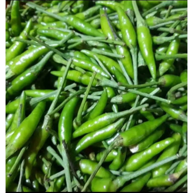 

Cabe Rawit Fresh Pedas Segar