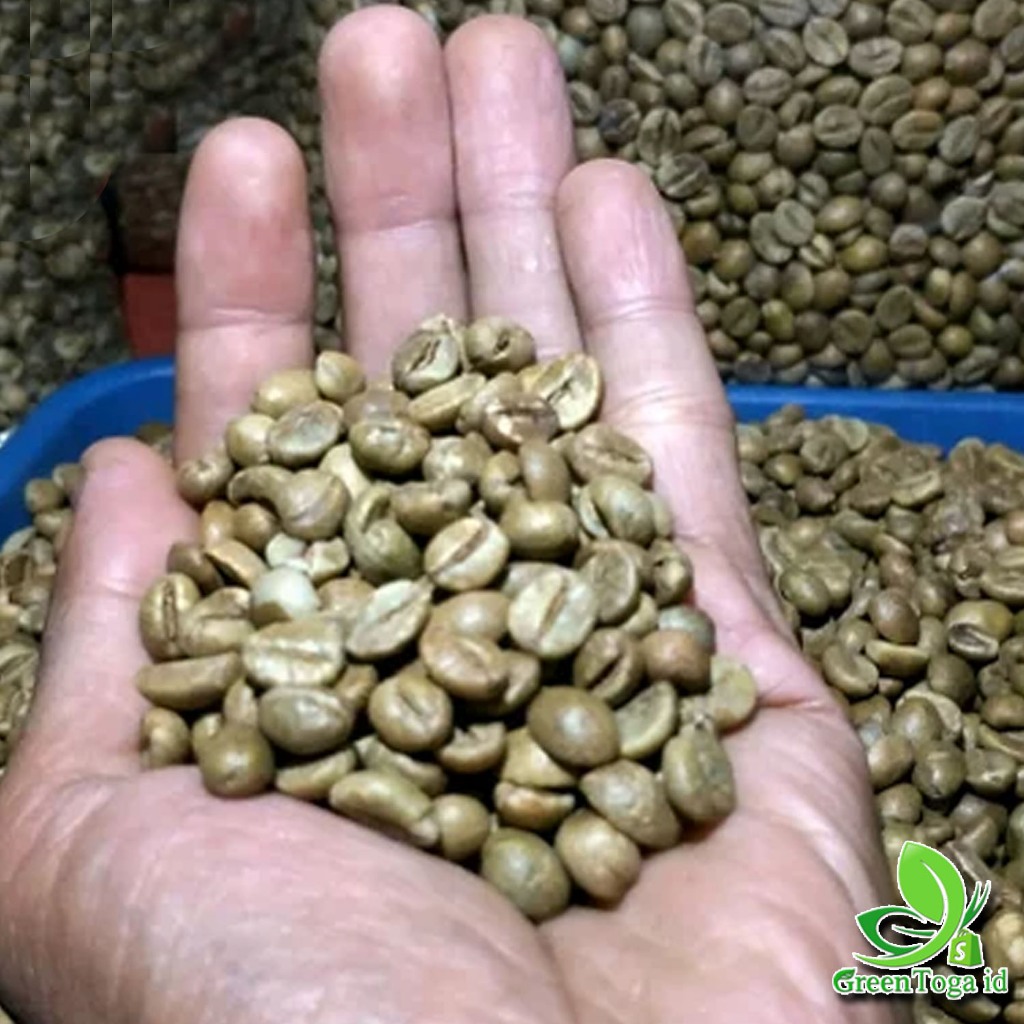 

Biji Kopi Wilis Premium Green Bean Robusta – Cita Rasa Asli Lereng Gunung