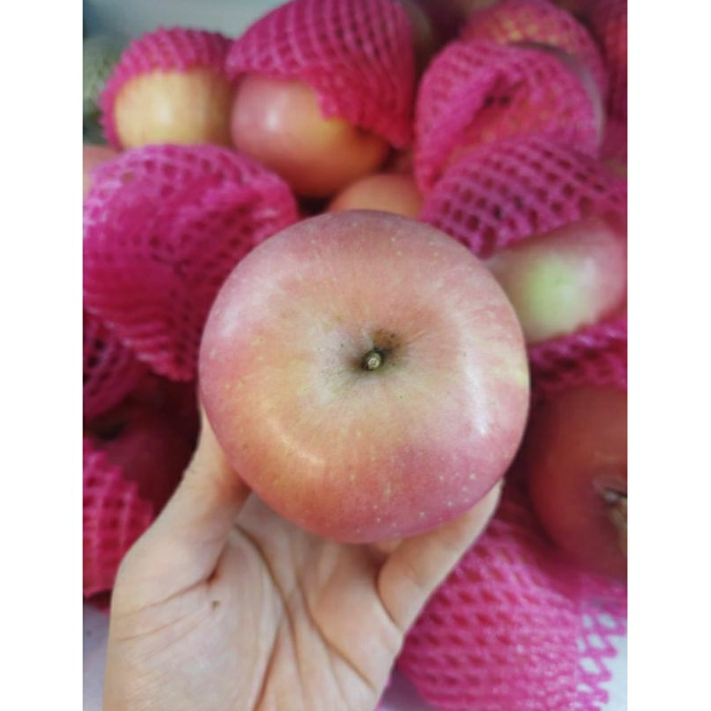 

Apel Fuji B per kg