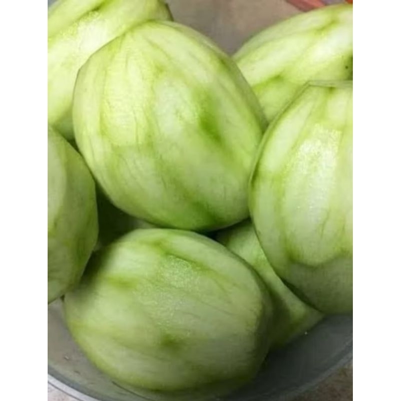 

HARGA 1KG MANGGA MUDA//MANGGA MANALAGI//MANGGA MADU