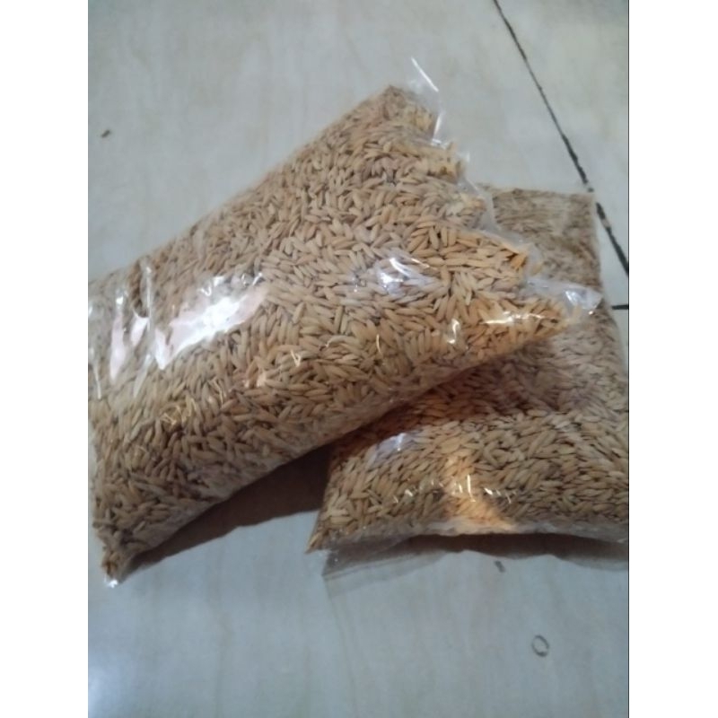 BENIH PADI SUPER UNGGUL BERKUALITAS ENAK DAN PULEN 500 GRAM