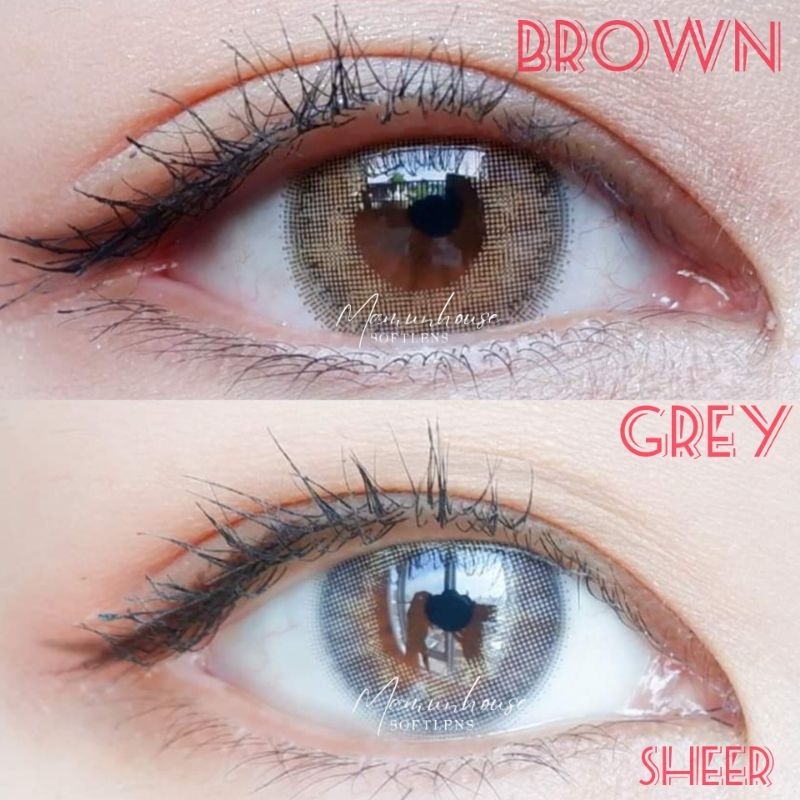 ORIGINAL Softlens Kitty Kawaii Mini Sheer Brown grey gray Soflens Soflen Soflent Soplen Murah
