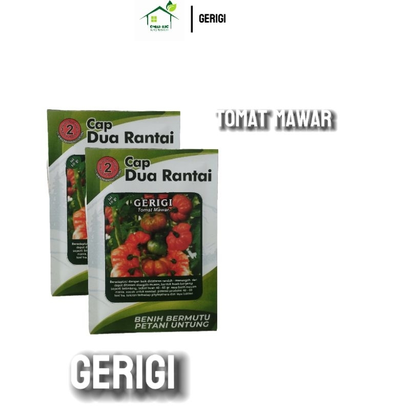 

Tomat Gerigi Tomat Cery Tomat Mawar 10gr Original Pabrik