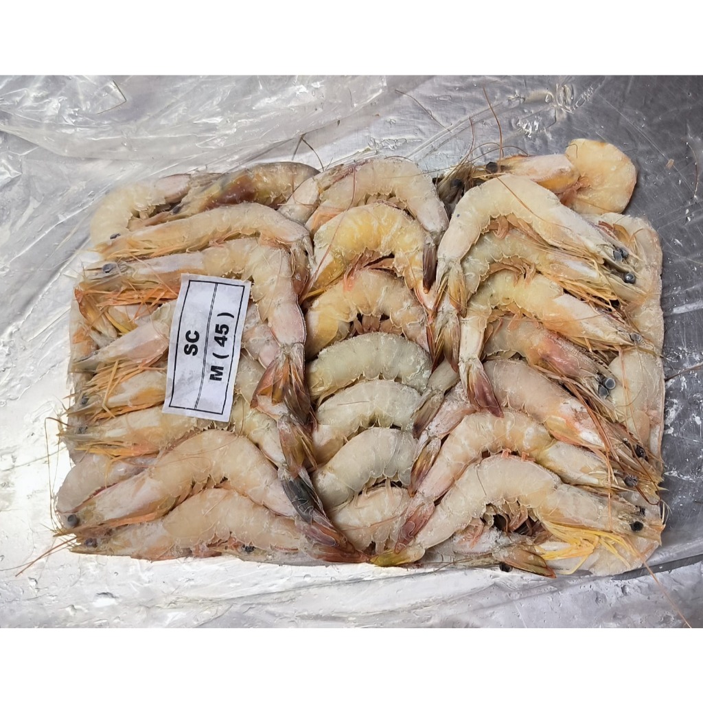 UDANG JERBUNG LAUT BEKU (FROZEN)