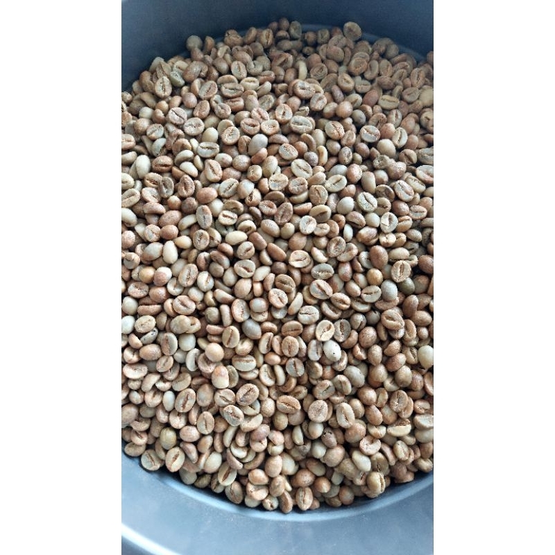 

Green Beans robusta Lampung grade 1 - Natural Procces (30/50kg)