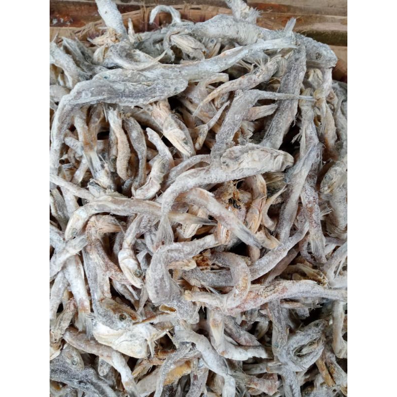 

IKAN ASIN KACANGAN/GEREH KACANG/ERNA GEREH