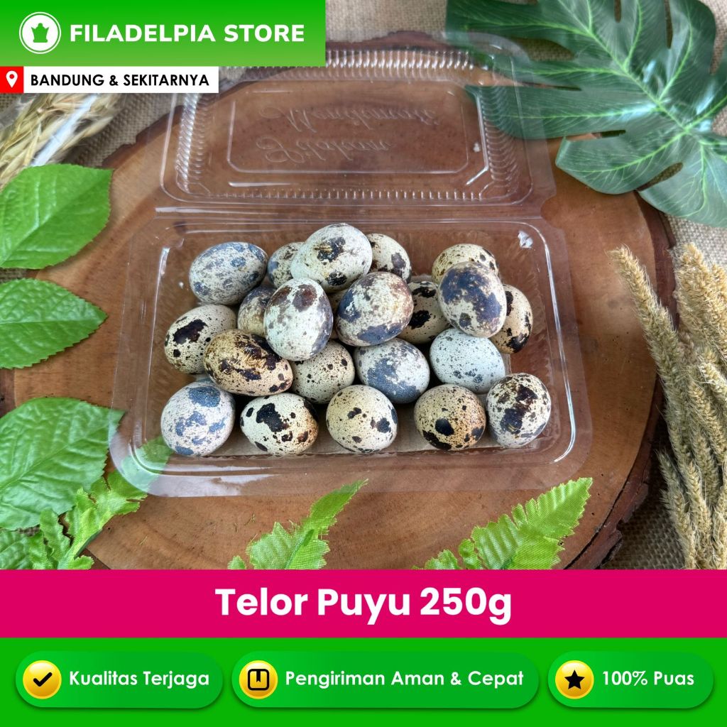 

Telur Puyuh 250gr Promo Bandung