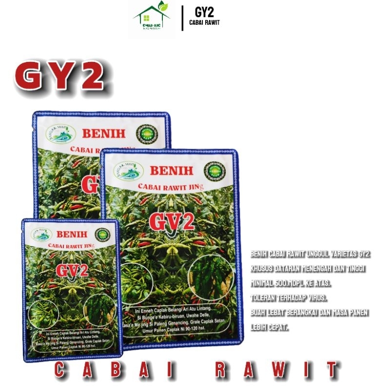 

Cabe GY2 10gr Lokal Aceh Buah Lebat Original Cabe Rawit Hijau Gayo 2 Aceh