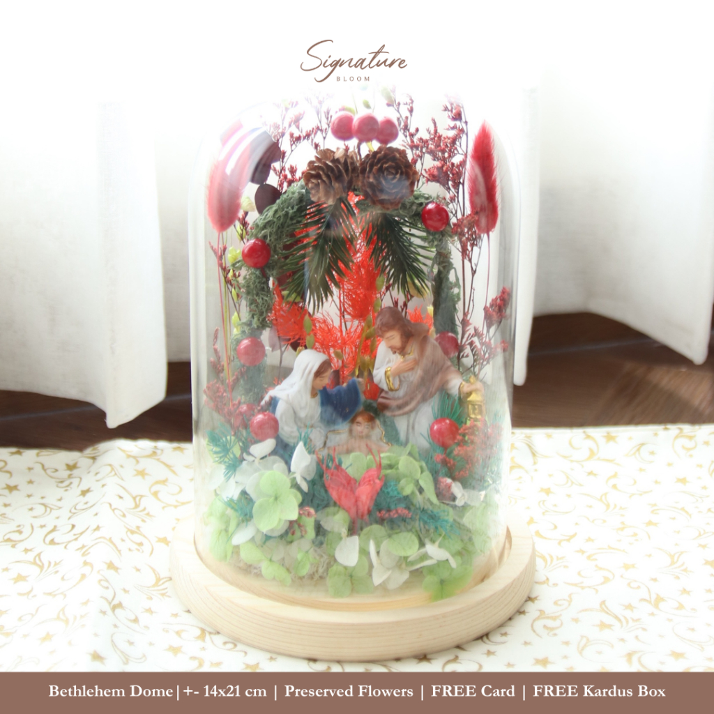 (SignatureBloom) Bethlehem Flower Dome Christmas Edition | Preserved Flowers Gift | Bunga Abadi Hadi