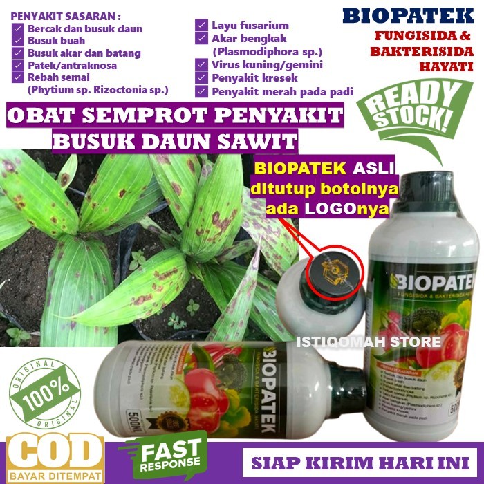 Obat Semprot Bercak Daun Bibit Kelapa Sawit Paling Ampuh BIOPATEK isi 500ML Fungisida & Bakterisida 