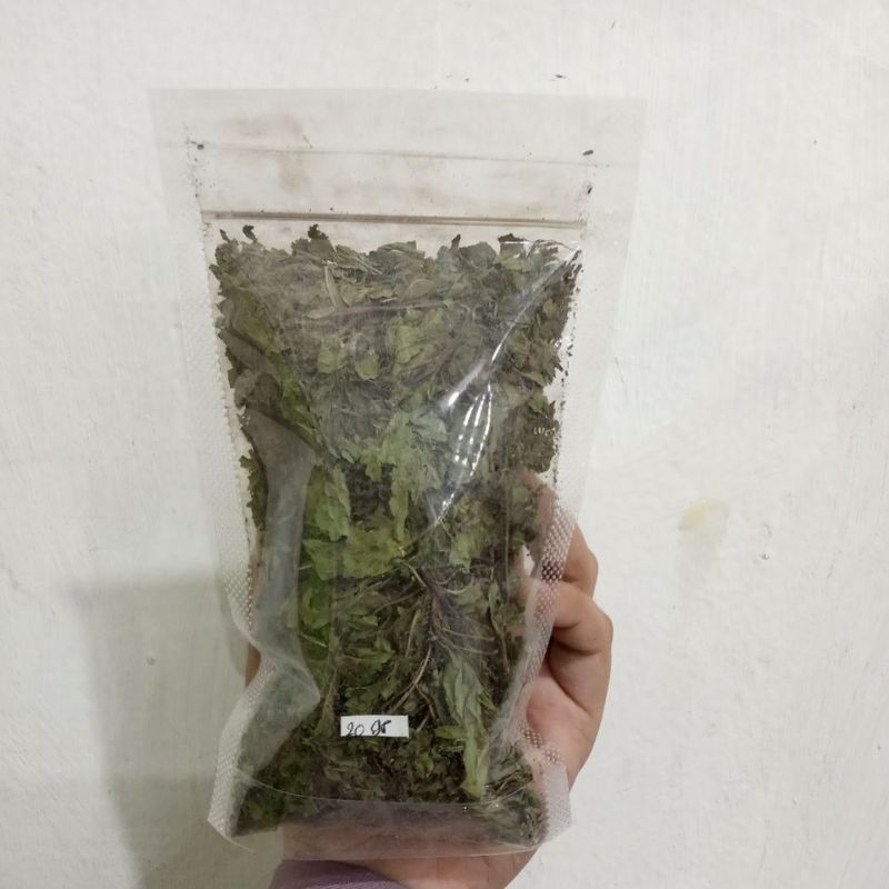 

Daun Mint Kering Berat bersih 20gr