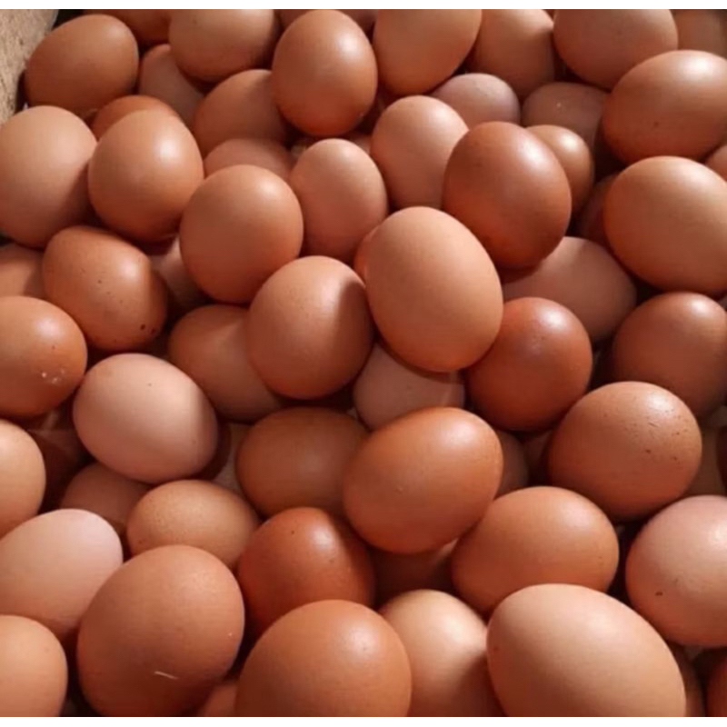 

TELUR AYAM (GOSEND ONLY) 1KG