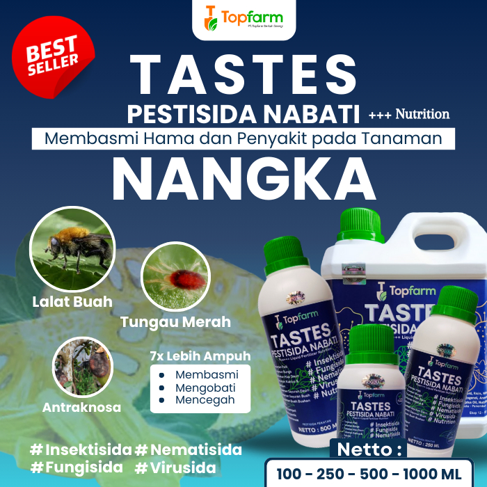 Obat Hama Semut Tanaman Buah Nangka / Obat Hama Daun Tanaman Buah Nangka / Obat Lalat Buah Nangka / 