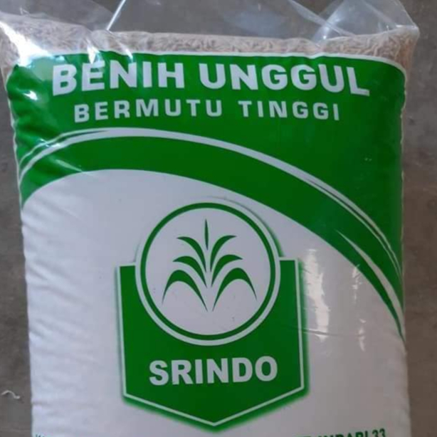 Benih Padi Varietas Siliwangi 5 kg